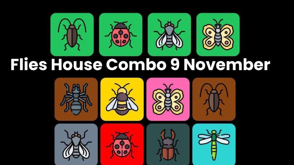 Flies House Combo 9 November