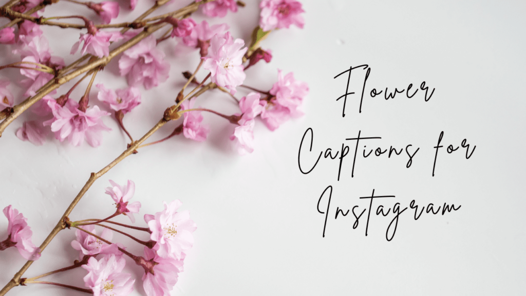 Flower Captions for Instagram