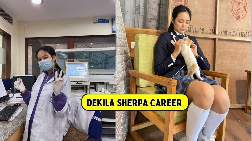 Dekila Sherpa Career