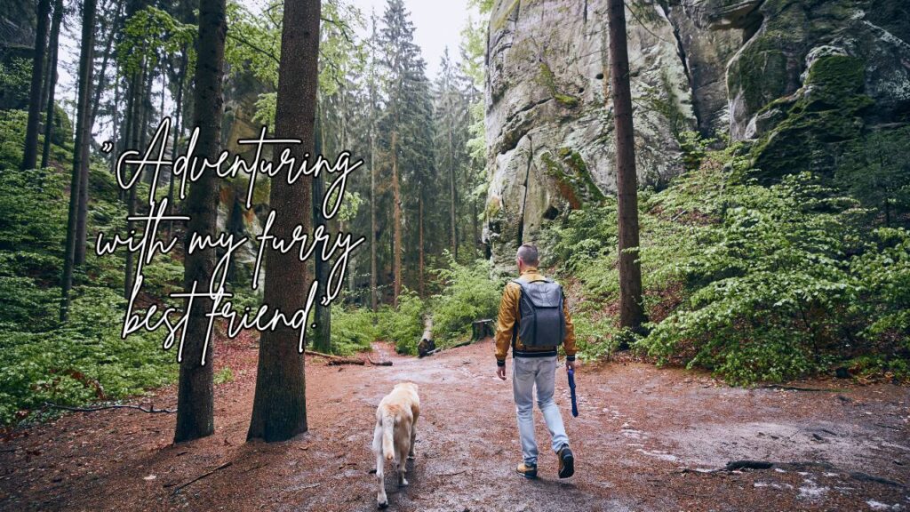 Dog Hiking Captions for Instagram