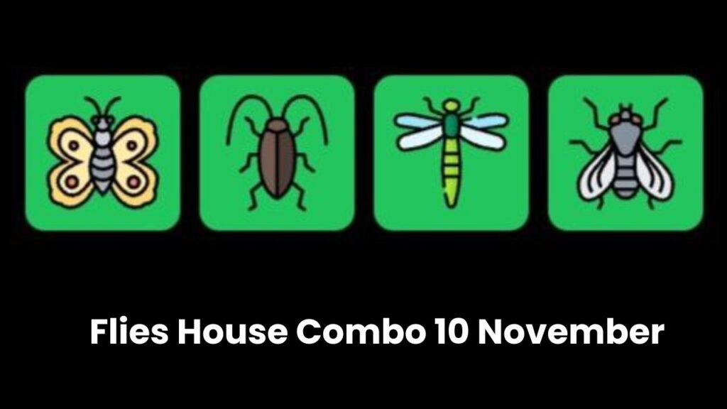 Flies House Combo 10 November