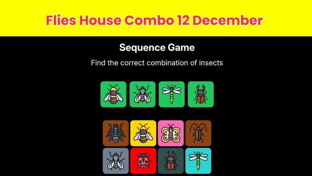 Flies House Combo 12 December