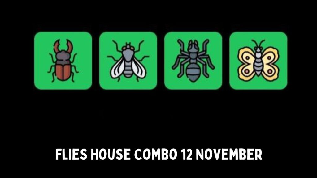 Flies House Combo 12 November