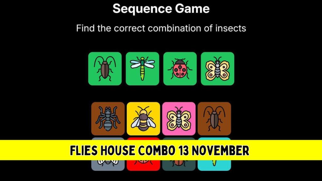 Flies House Combo 13 November