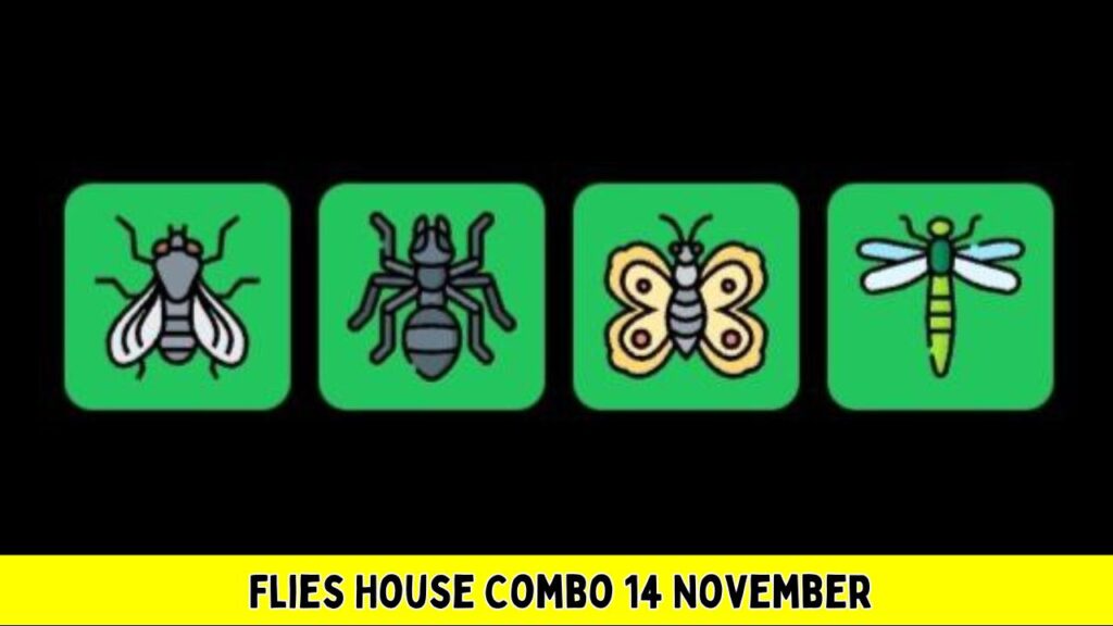 Flies House Combo 14 November