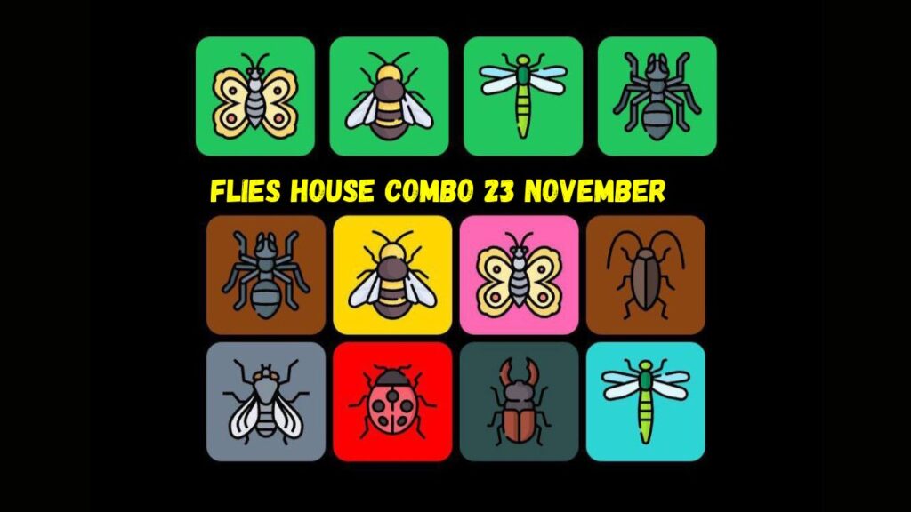 Flies House Combo 23 November