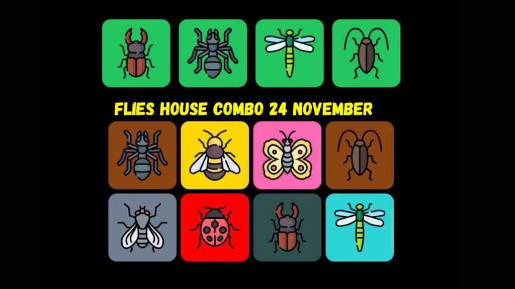 Flies House Combo 24 November