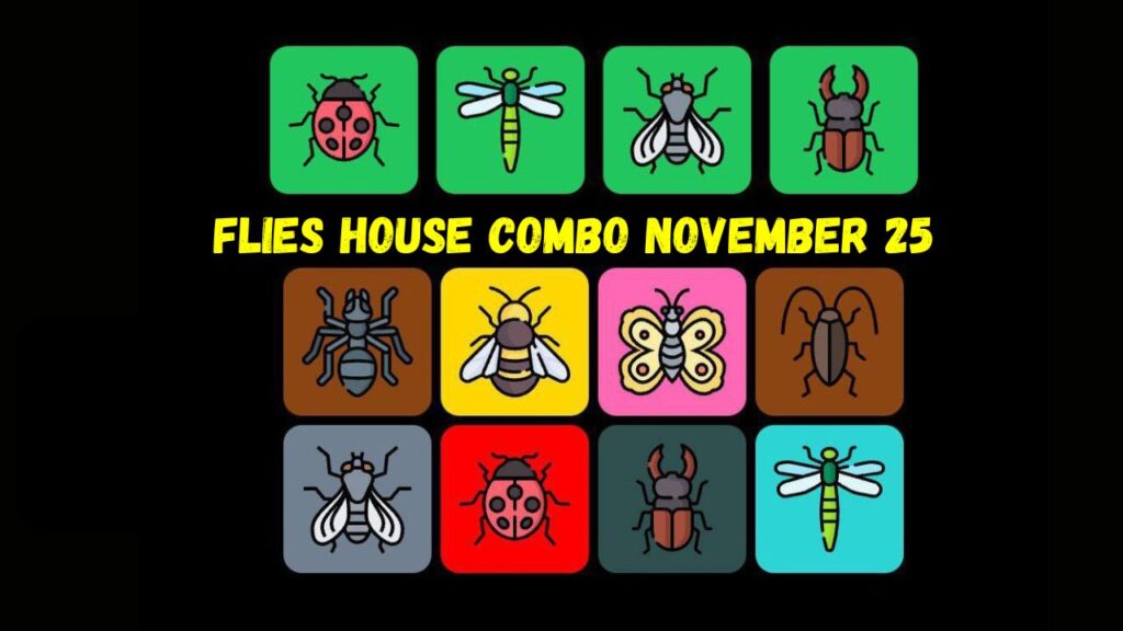 Flies House Combo November 25