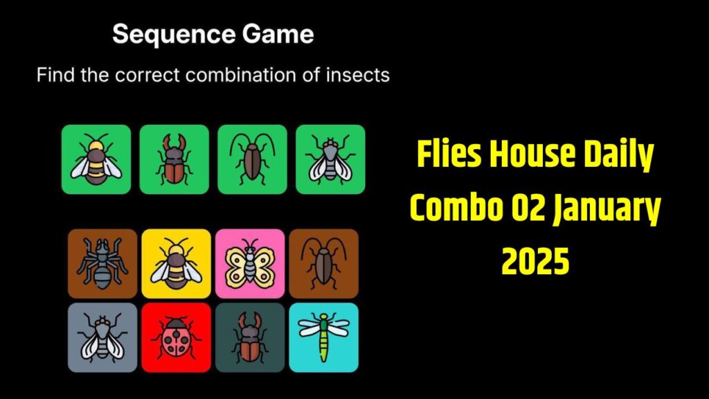 Flies House Daily Combo 02 January 2025