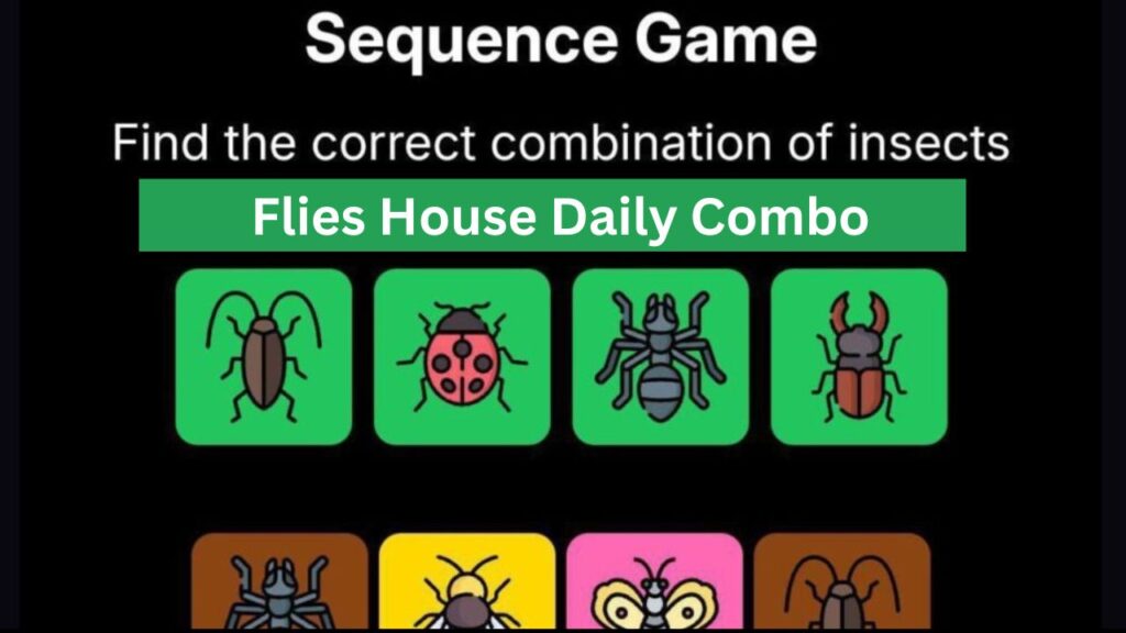 Flies House Daily Combo