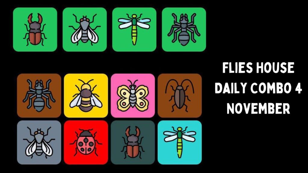 Flies House Daily Combo 4 November