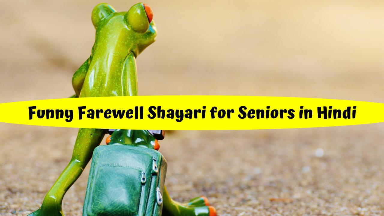 Funny Farewell Shayari for Seniors in Hindi