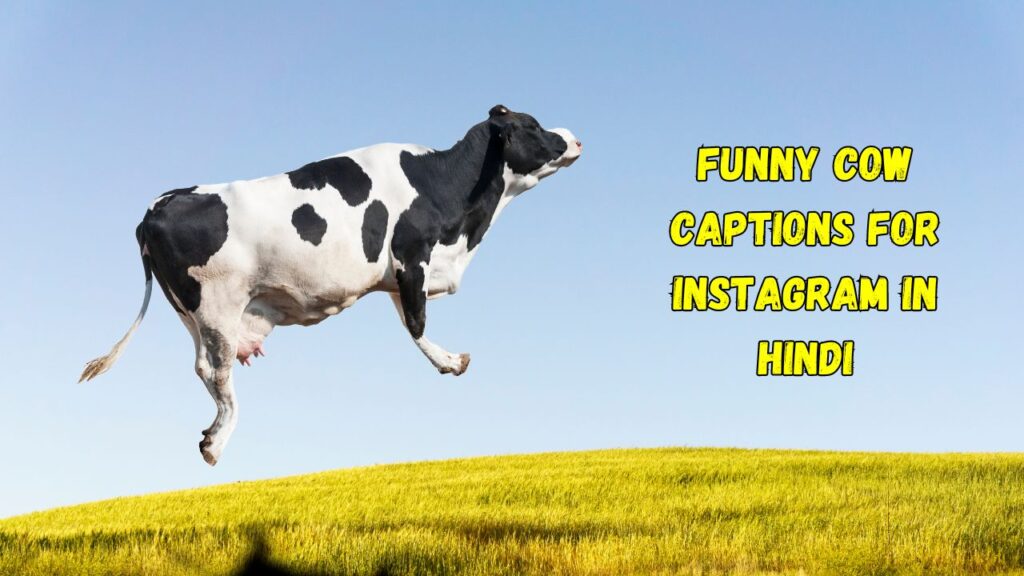 Funny cow captions for instagram in hindi