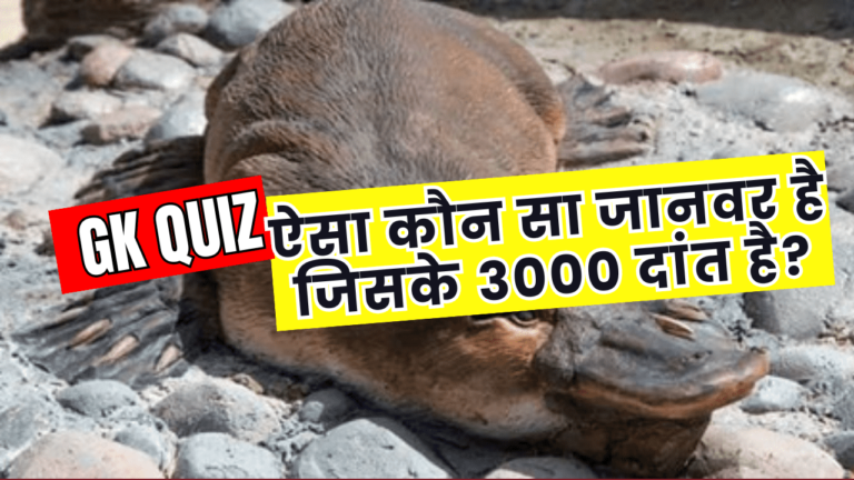 GK Quiz ऐसा कौन सा जानवर है जिसके 3000 दांत है?