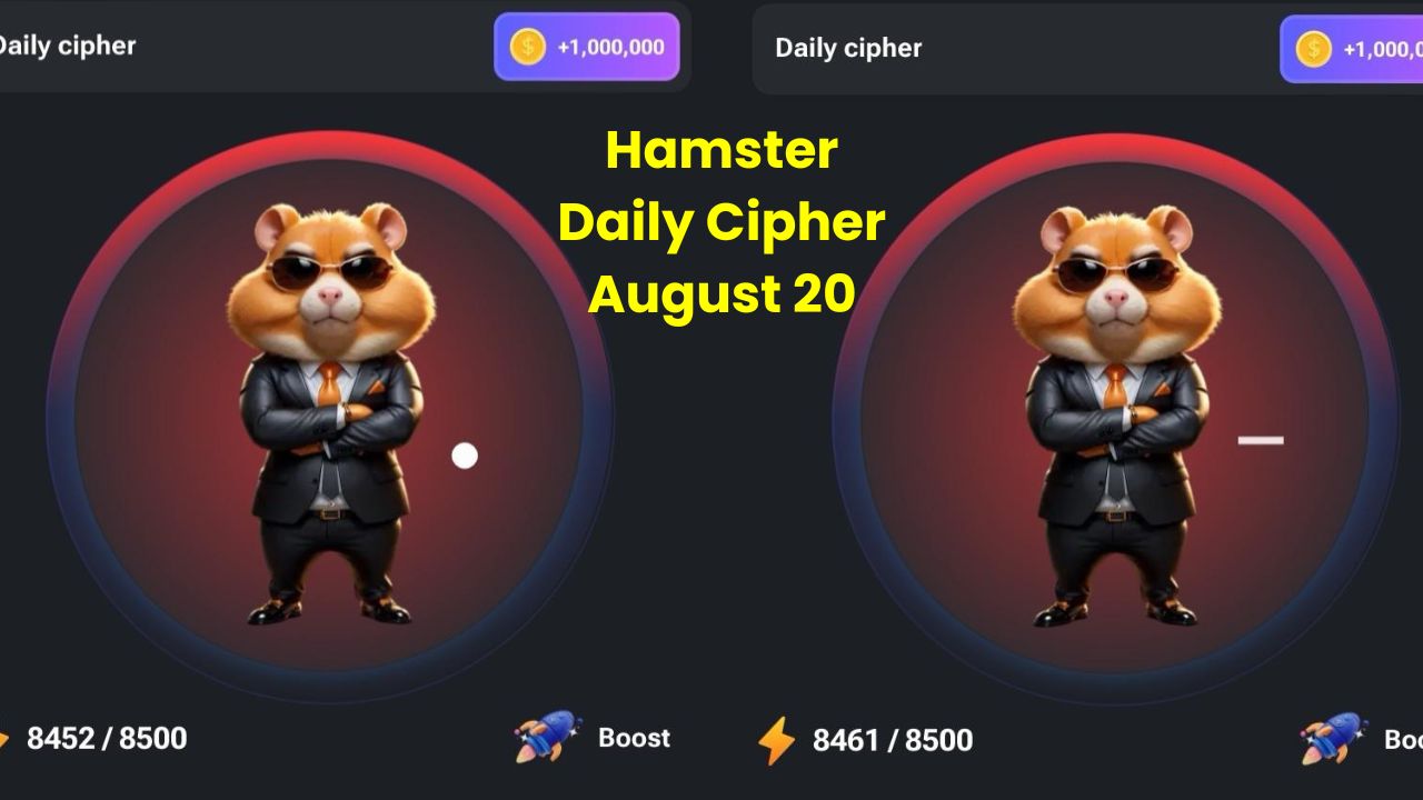 Hamster Daily Cipher August 20