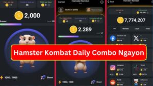 Hamster Kombat Daily Combo Ngayon