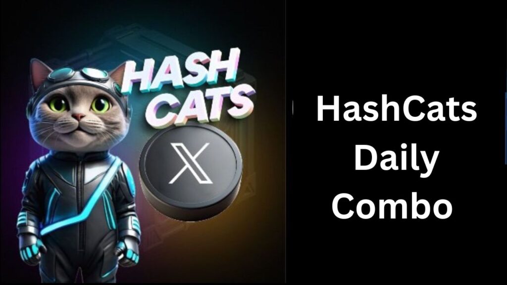 HashCats Daily Combo