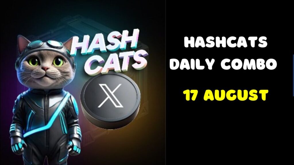 HashCats Daily Combo 17 August