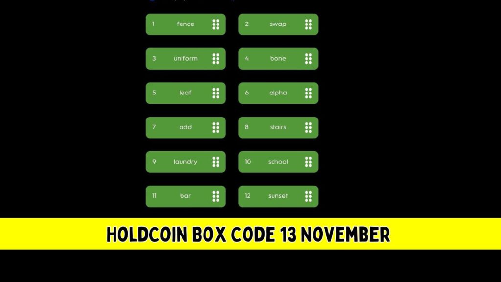 HoldCoin Box Code 13 November