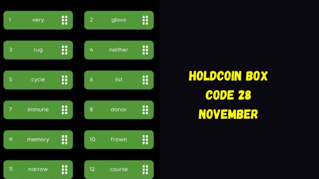 HoldCoin Box Code 28 November