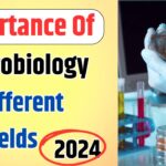 Importance of Microbiology in Different Fields