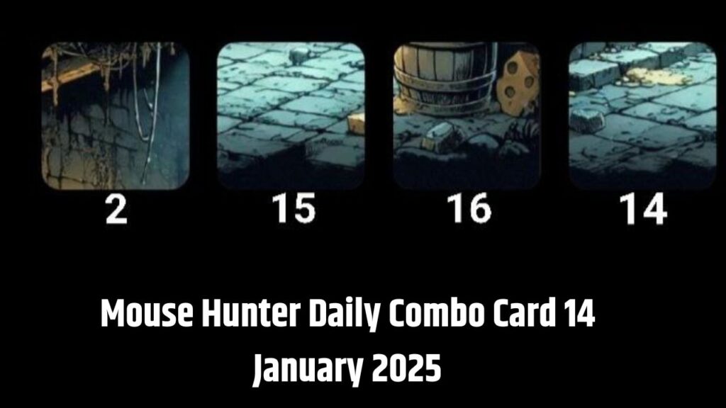 Mouse Hunter Daily Combo Card 14 January 2025