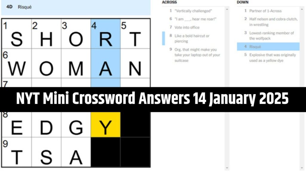 NYT Mini Crossword Answers 14 January 2025