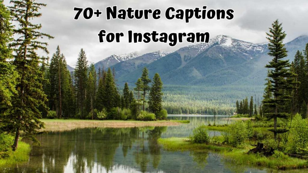 Nature Captions for Instagram