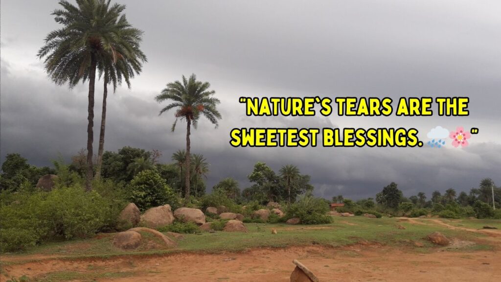 Nature Monsoon Season Captions