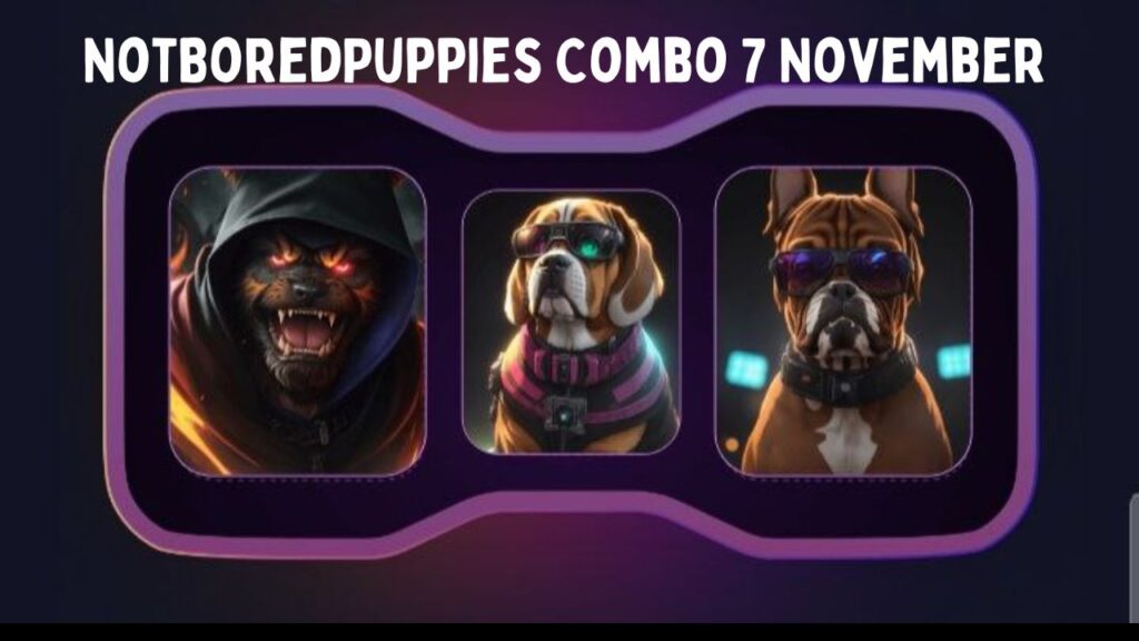 NotBoredPuppies Combo 7 November