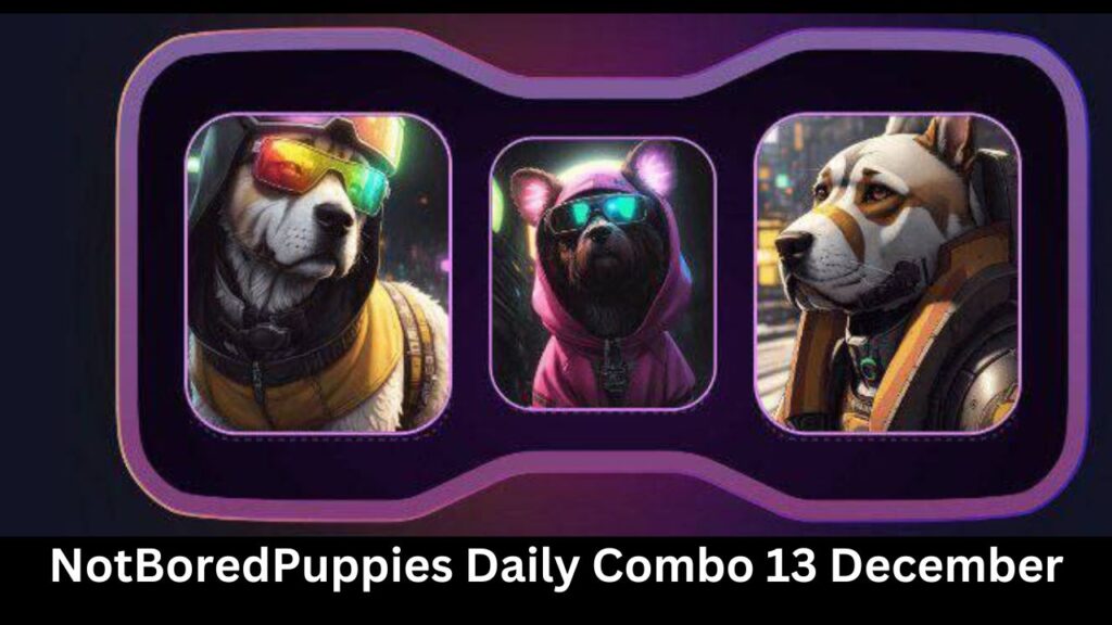 NotBoredPuppies Daily Combo 13 December