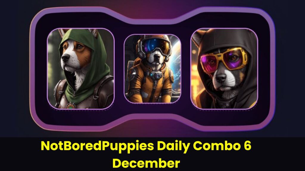 NotBoredPuppies Daily Combo 6 December