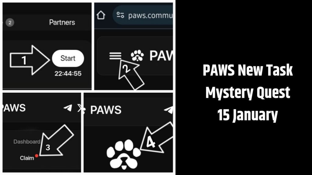 PAWS New Task Mystery Quest 15 January