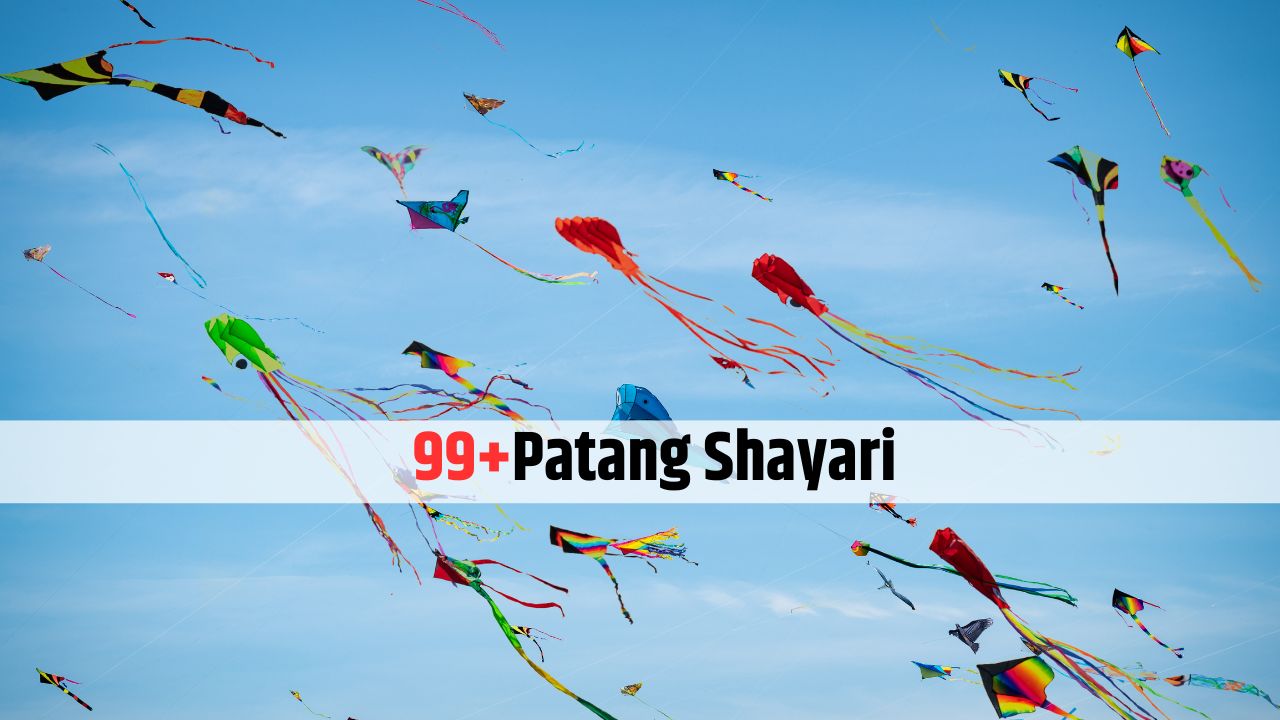 Patang Shayari