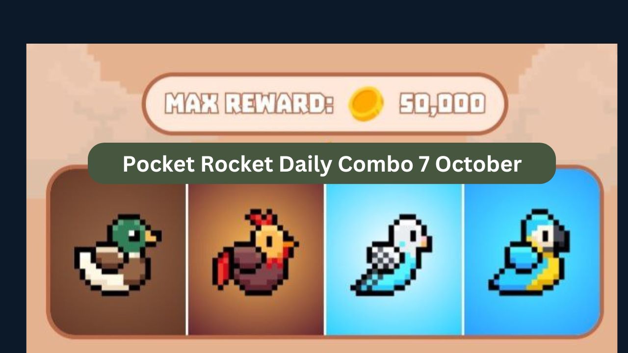 Pocket Rocket Daily Combo 7 October