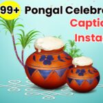 Pongal Celebration Captions for Instagram