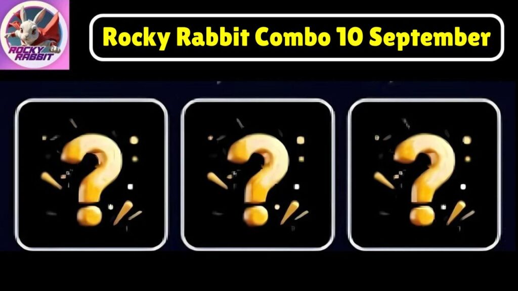 Rocky Rabbit Combo 10 September