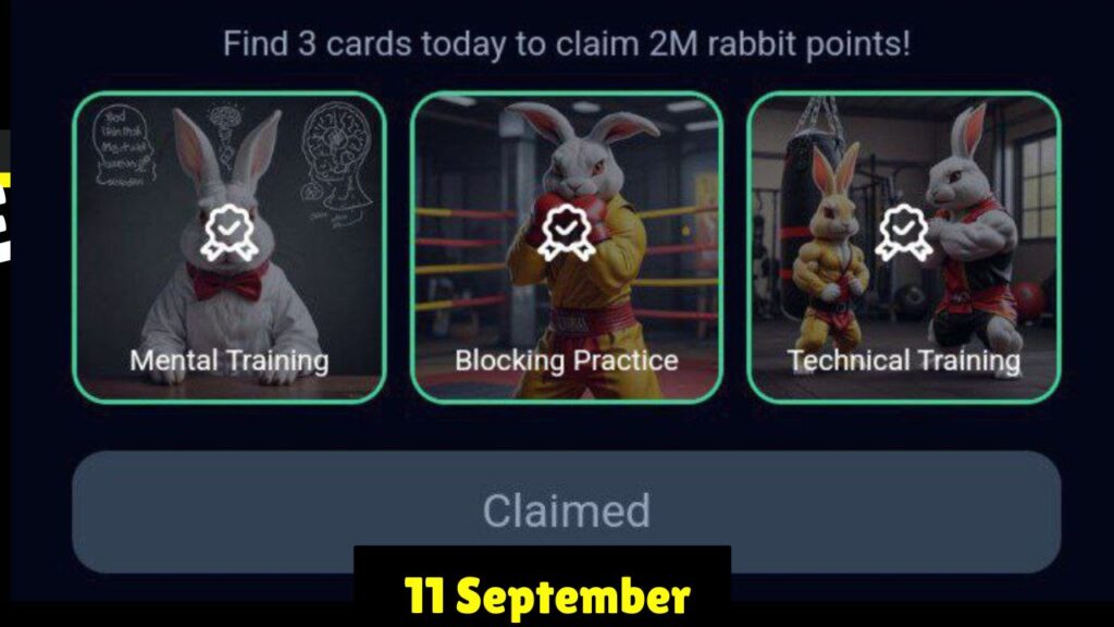 Rocky Rabbit Combo 11 September