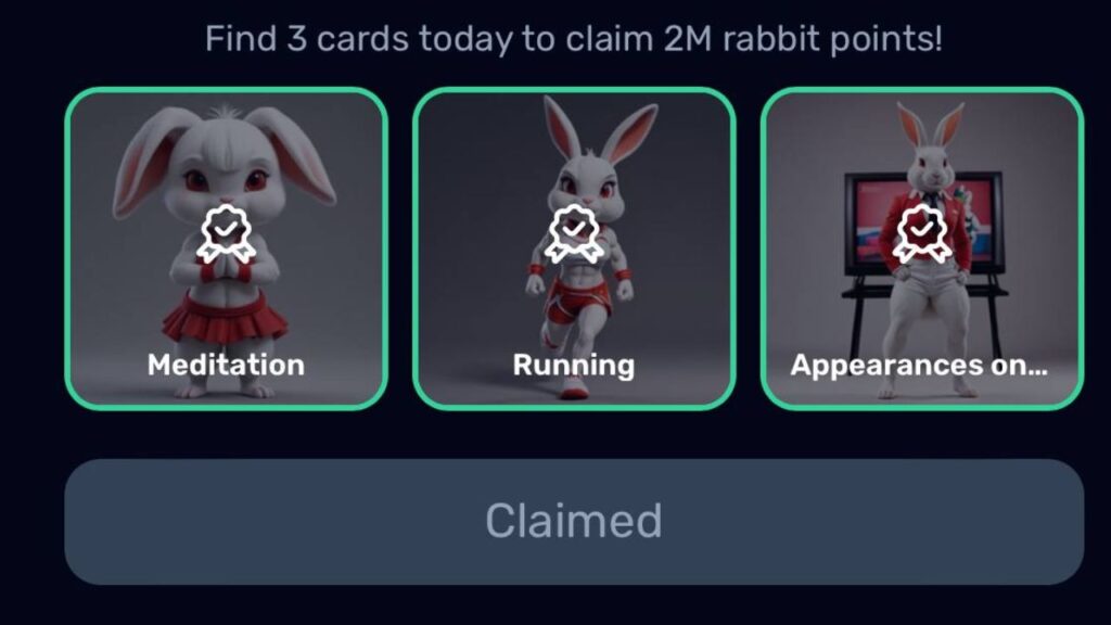 Rocky Rabbit Combo 12 September