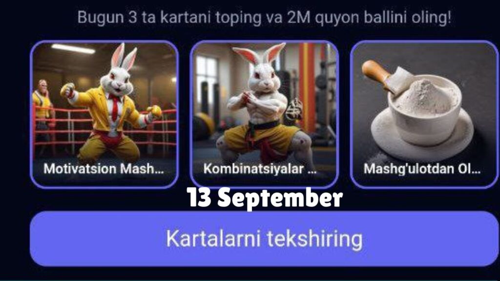 Rocky Rabbit Combo 13 September 