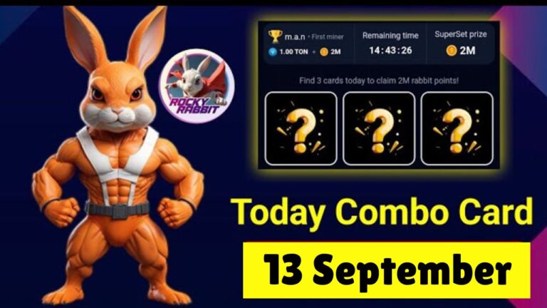 Rocky Rabbit Combo 13 September