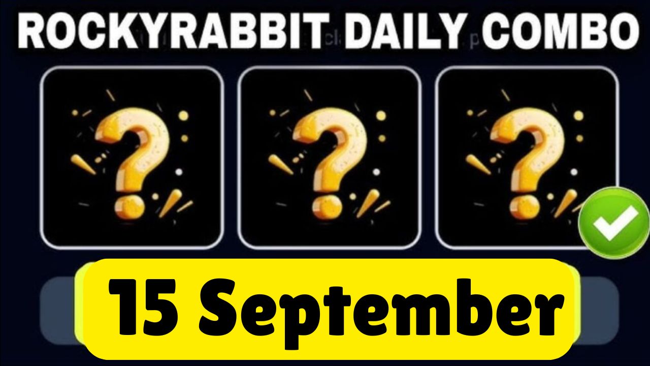 Rocky Rabbit Combo 15 September