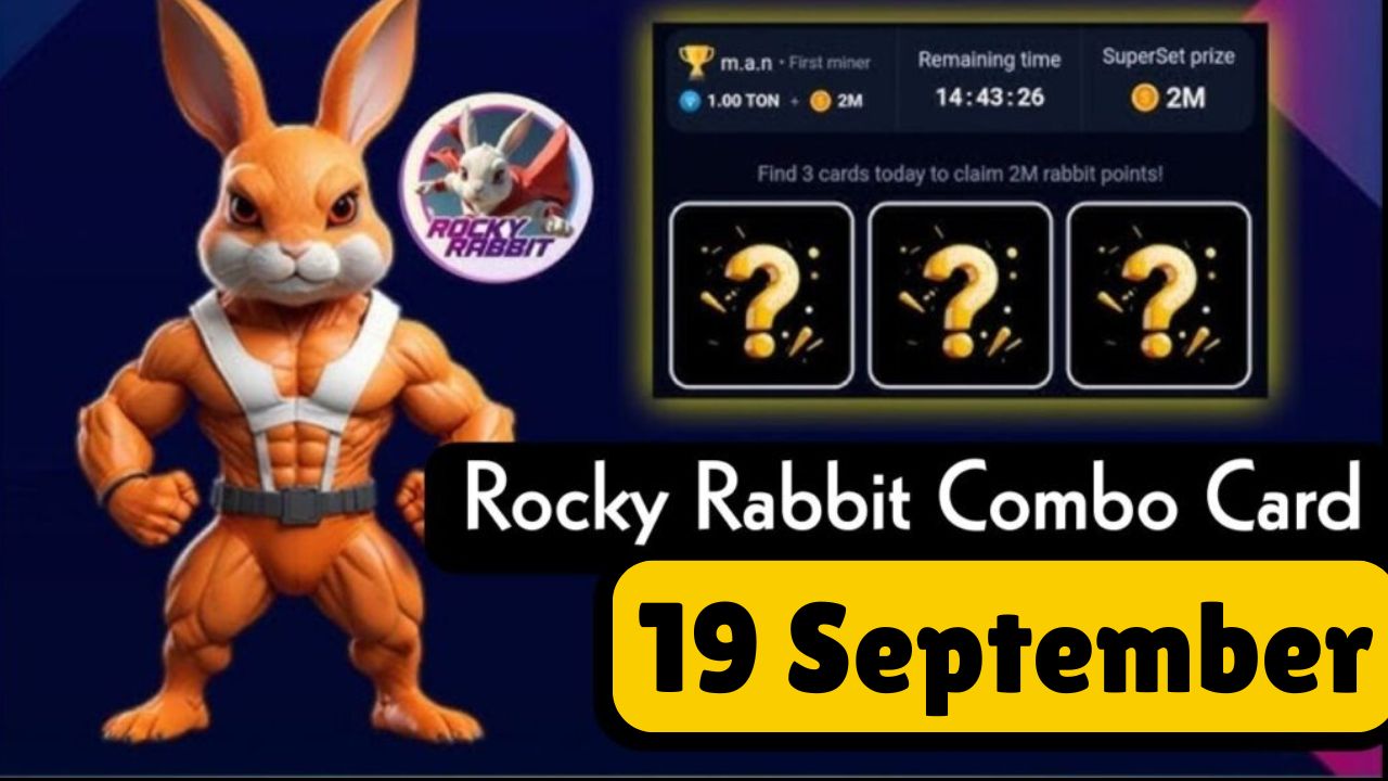 Rocky Rabbit Combo 19 September