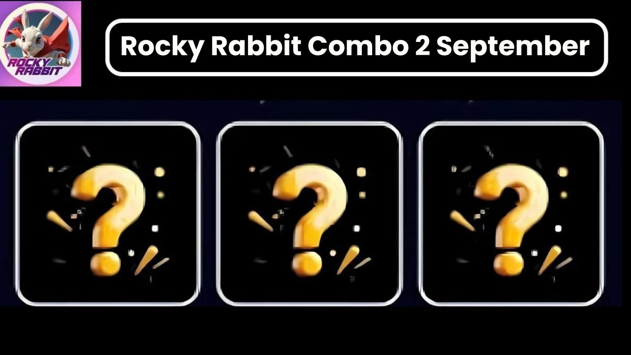 Rocky Rabbit Combo 2 September