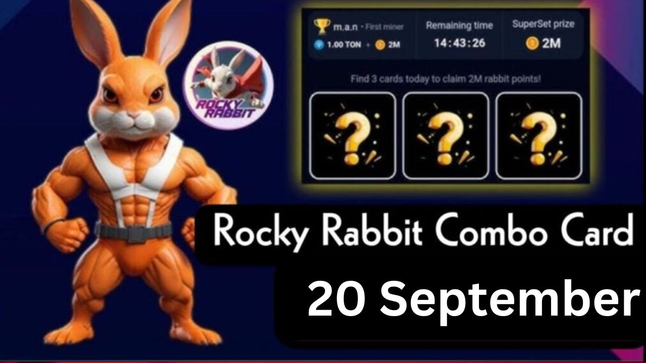 Rocky Rabbit Combo 20 September