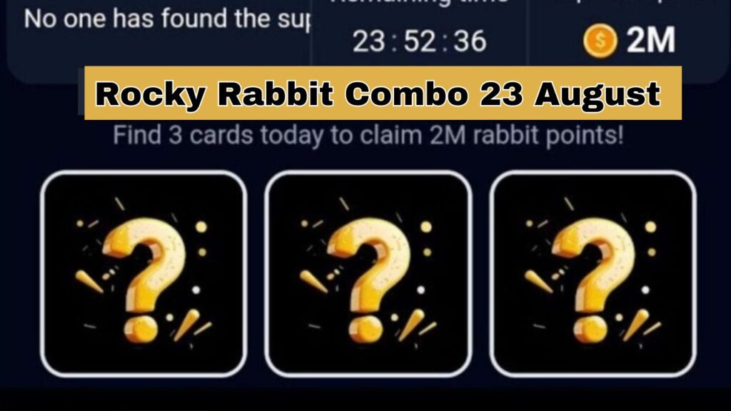 Rocky Rabbit Combo 23 August