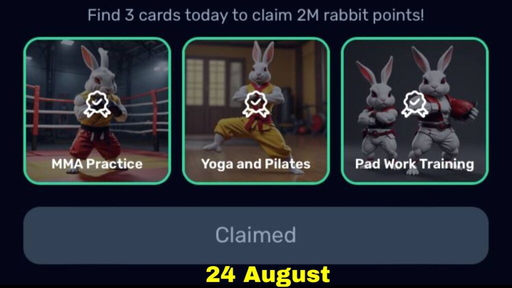 Rocky Rabbit Combo 24 August