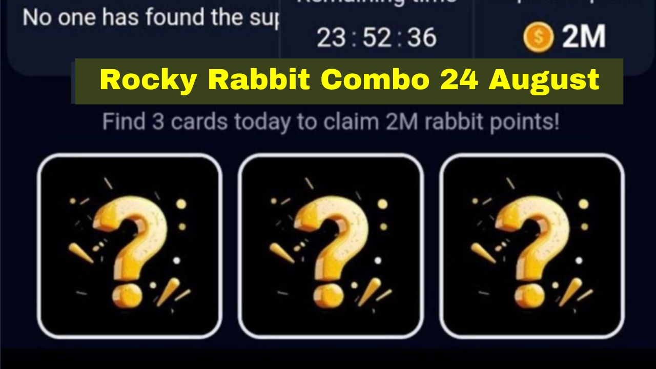 Rocky Rabbit Combo 24 August