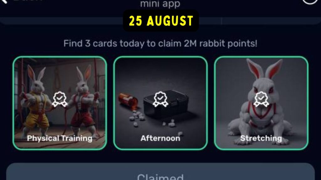 Rocky Rabbit Combo 25 August