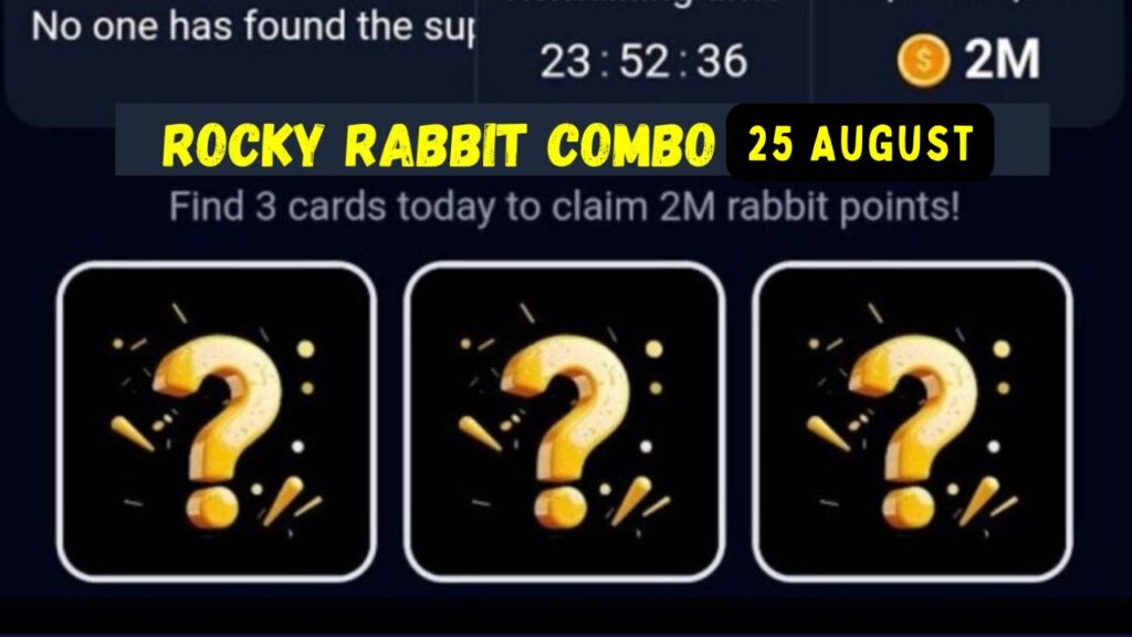 Rocky Rabbit Combo 25 August